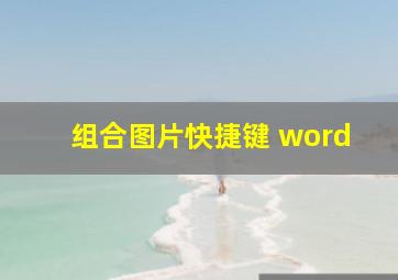 组合图片快捷键 word